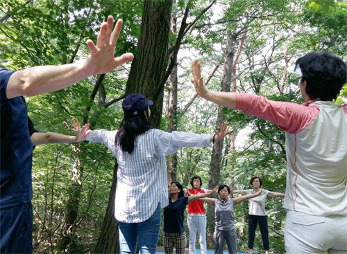 경기 용인시 처인구 모현면 초부리 용인자연휴양림을 찾은 사람들이 숲에서 스트레칭을 하며 마음과 몸을 편하게 하고 있다. 경기도 제공