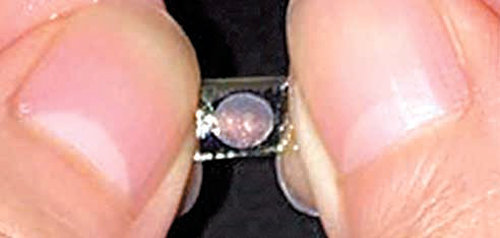 아주대 연구진이 천연 실크 단백질로 만든 3차원 광자결정 소자. 사람의 피부처럼 탄성이 있고 늘어난다. 연구진은 안구이식용 시력강화 필름으로 사용할 수 있을 것으로 보고 있다. 한국연구재단 제공