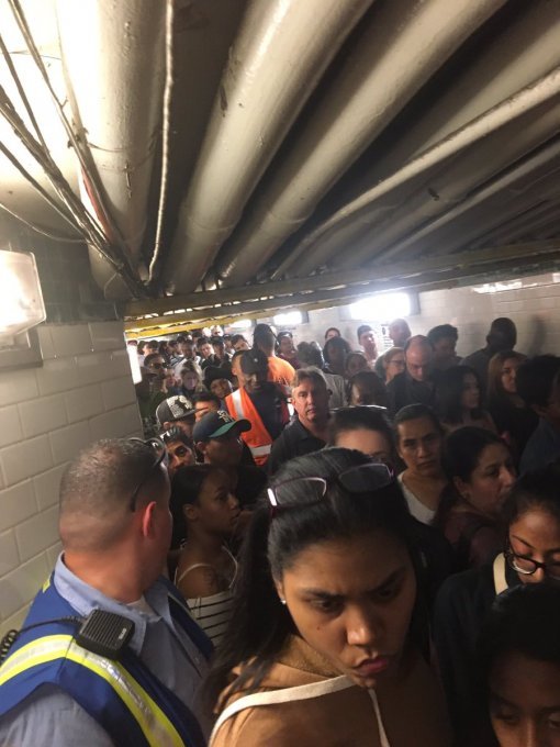 (사진 출처=현지인 트위터)