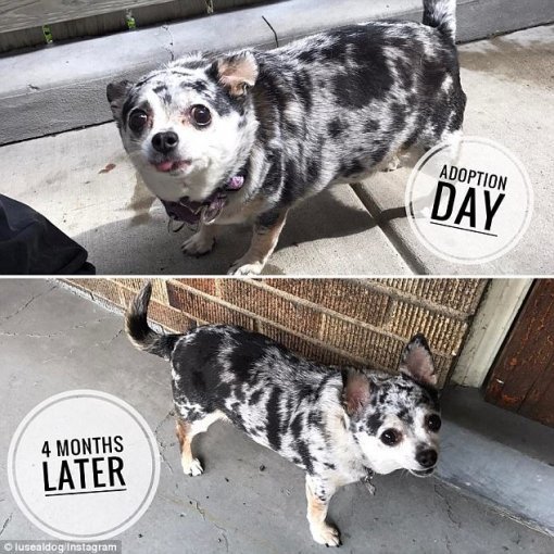 사진=인스타그램