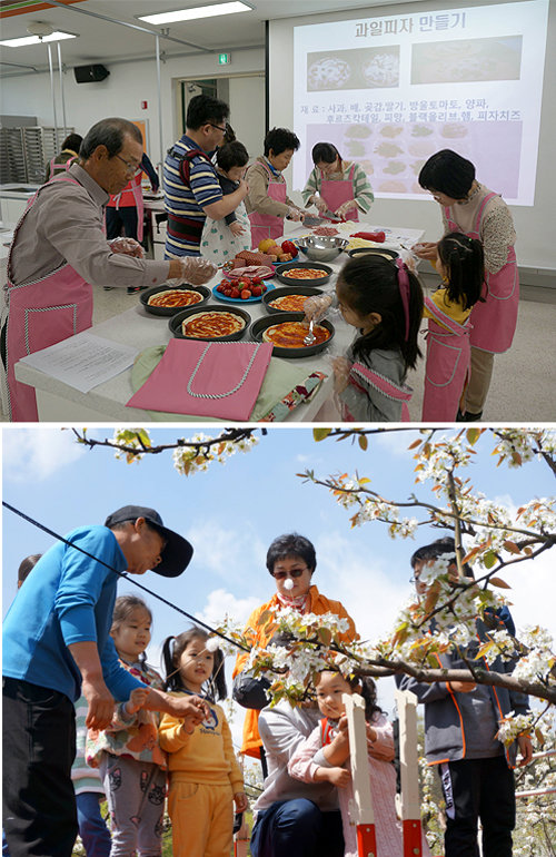 과일 피자 만들기(첫번째 사진)와 고소 작업차를 이용해 꽃가루 인공 수정 체험을 하는 모습. 영동군 제공