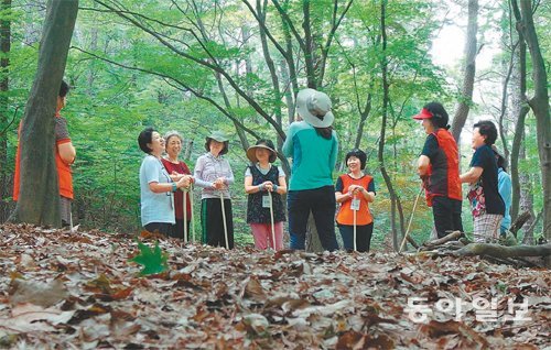 인천대공원 산림 치유 프로그램인 ‘다시 피어나는 숲’에 참가한 중년 여성들이 지난달 30일 햇빛 숲에서 삼림욕을 즐기고 있다. 김영국 채널A 스마트리포터 press82@donga.com