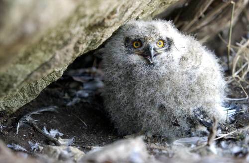 해당 사진은 기사와 관련없음(동아일보DB)
