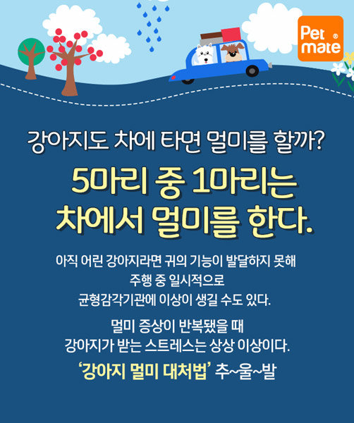 강아지 멀미에 대처하는 6가지 방법｜동아일보