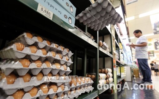 사진=동아일보 DB