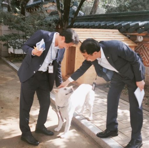 청와대 공식 인스타그램