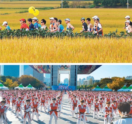 지난해 열린 2016 공주백제마라톤 참가자들이 황금빛 들녘을 달리고 있다. 아래 사진은 태어로즈 태권도 시범단이 절도 있는 태권도 시범을 보이고 있는 모습. 동아일보DB