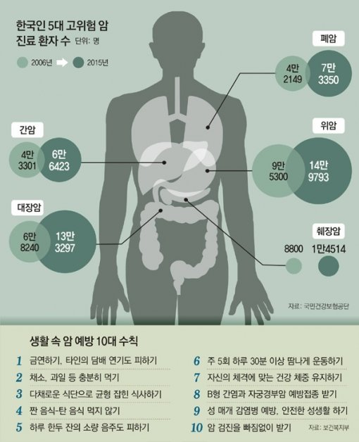 그래픽=동아일보 DB