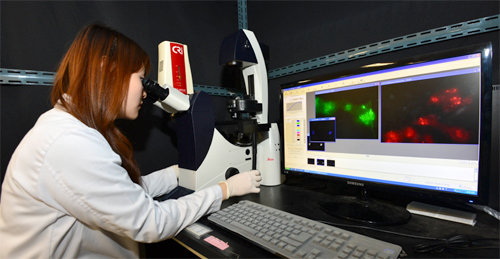 한국과학기술연구원 의공학연구소 연구진이 새롭게 개발한 줄기세포 표지 기술을 현미경을 통해 확인해 보고 있다. 한국과학기술연구원 제공