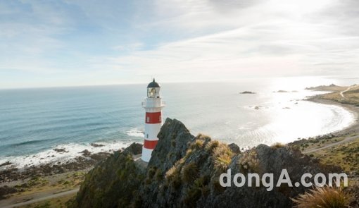 ▲ 와이라파파 ‘케이프 팰리서’ . 사진 제공=뉴질랜드관광청