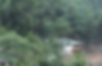 사진=사진은 기사 내용과 무관함/동아일보 DB