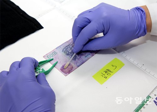 대검찰청 과학수사부 관계자가 지폐에 묻은 세포를 면봉으로 채취하고 있다. 최지원 동아사이언스 기자 jwchoi@donga.com