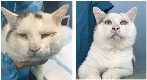 사진=웨이보 게시물