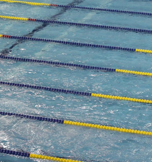 사진=동아일보 DB