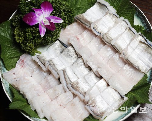 갯장어는 잔가시가 많아 손질이 까다로운 생선이다. 숙련된 조리사의 기술이 필요하다. 양회성 기자 yohan@donga.com