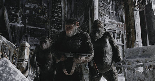 15일 개봉하는 영화 ‘혹성탈출: 종의 전쟁’에 등장하는 주인공인 침팬지 ‘시저’(가운데)는 유인원 집단을 이끄는 대장이다. 비슷한 체구일 때 침팬지는 인간보다 2배 가량 힘이 세고, 유전공학의 힘을 빌리면 영화 속 침팬지처럼 지능이 뛰어난 개체가 나올 수 있다. 20세기폭스코리아 제공