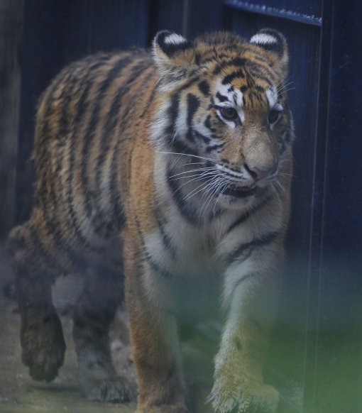 사진=동아일보DB(사진은 기사와 무관함)