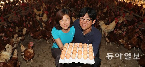 ‘심다누팜’의 양계장에서 김성한(오른쪽), 이심 부부가 방금 낳은 계란을 꺼내들었다. 오후 내내 초원을 한가로이 거니는 닭들이 
생산하는 계란은 고소한 데다 잡내가 없어 일반 계란보다 2배 이상 비싸지만 불티나게 팔린다. 태안=전영한 기자 
scoopjyh@donga.com