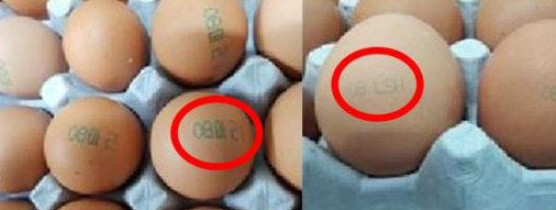 살충제 달걀 ‘11시온’·‘13정화’ 시중 유통 중 발견 …꼼꼼히 살펴야