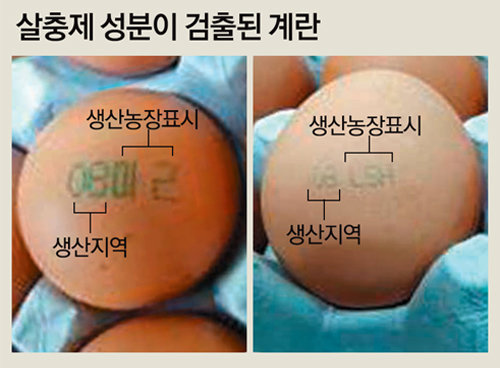 사진=동아일보