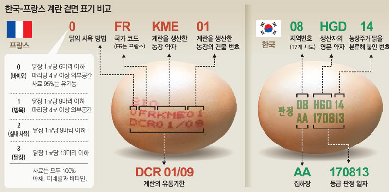생산장소만 표시된 한국 계란… 사육법-닭장까지 알려주는 Eu｜동아일보