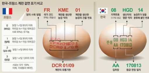 생산장소만 표시된 한국 계란… 사육법-닭장까지 알려주는 EU