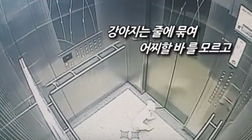 사진=경기남부지방경찰청(gyeonggipolice) 유튜브 캡처