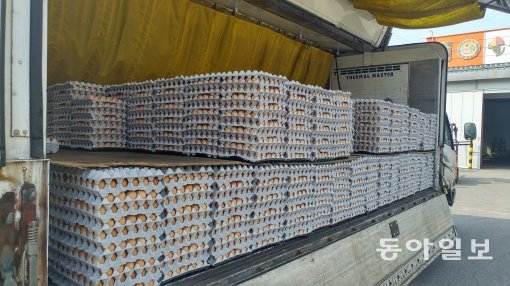 살충제 성분이 검출돼 반품된 계란 수백 판이 경기 지역의 한 계란집하장(GP센터) 내 대형 화물차에 실려 있다. 김동혁 기자 hack@donga.com