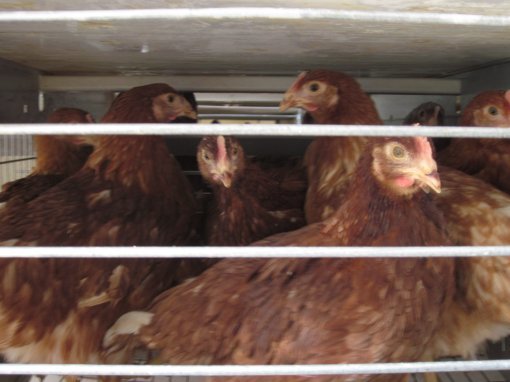 사진=동아일보DB