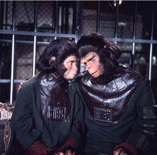 1968년 개봉한 영화 ‘혹성탈출’의 한 장면. 사진제공|세기상사