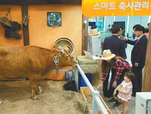 스마트 축사 25일 ‘2017 A FARM SHOW’에 참석한 관람객들이 스마트 축사 부스를 둘러보고 있다. 이 소의 위장 안에는 소의 건강 상태를 확인할 수 있는 바이오 캡슐이 있다.