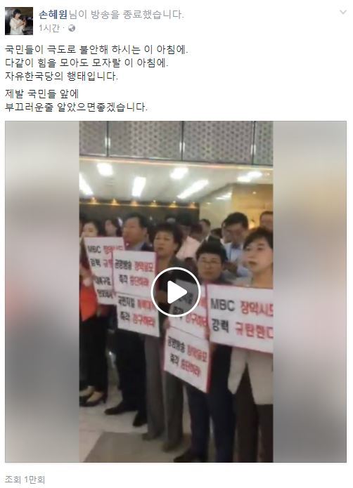 손혜원 더불어민주당 의원 페이스북
