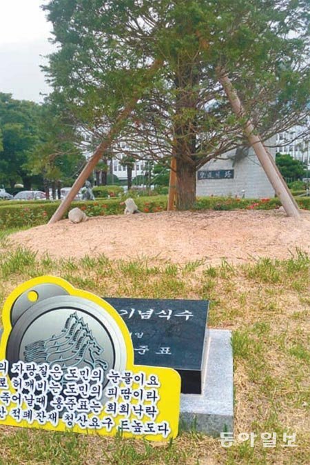 홍준표 전 경남도지사(현 자유한국당 대표)가 채무제로를 기념해 심은 주목. 시민사회단체는 이 나무를 뽑아내라고 요구하고 있다. 강정훈 기자 manman@donga.com