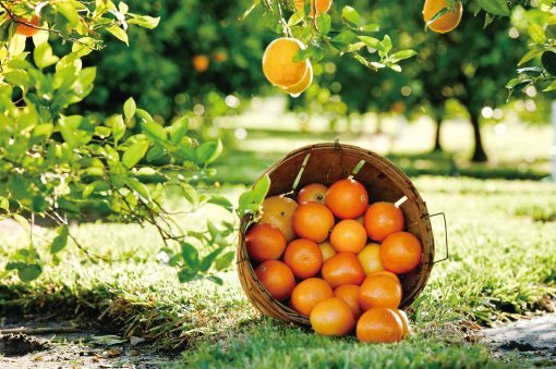 사진=동아일보DB