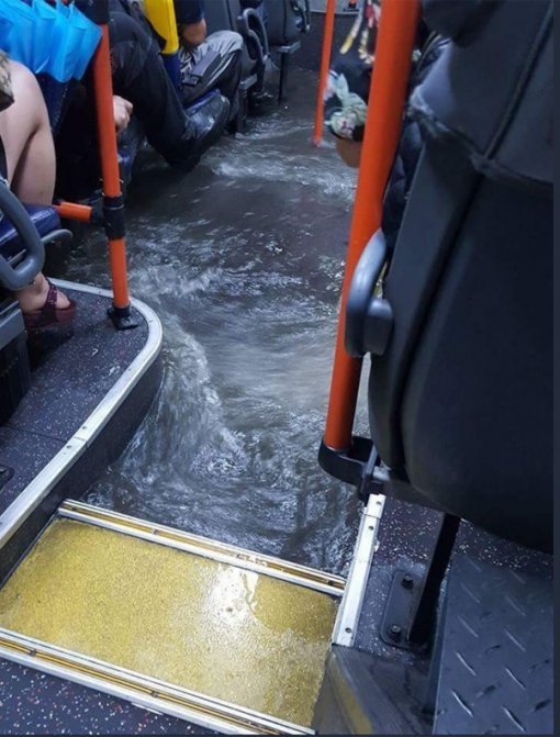 부산 유치원초·중·고 전 학교 휴교조치…180mm  쏟아져 부산 곳곳 침수/부산 시내버스 바닥에 물이 들어찬 모습. 트위터 캡처.