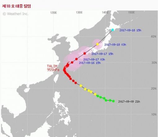 네이버 재난재해정보