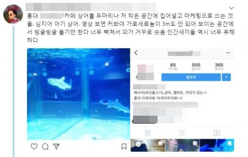 사진=인터넷 커뮤니티