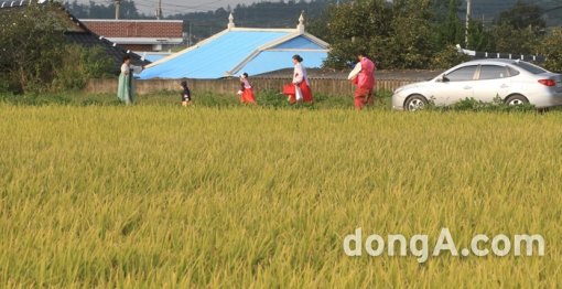 구인구직 매칭플랫폼 사람인이 직장인 834명을 대상으로 ‘추석 귀향 계획’을 조사한 결과, 응답자 10명 중 4명(39.4%)은 귀향 계획이 없는 것으로 나타났다. 사진=동아일보 DB