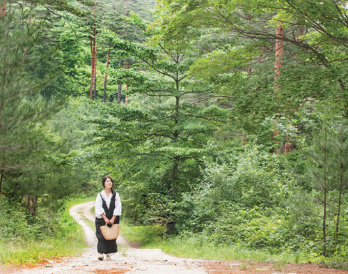 경상북도 울진 금강송 군락지. 사진 홍태식