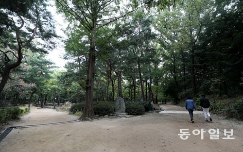 지금도 재학생들이 산책하고 사색을 즐기는 서울 연세대의 청송대 숲길. 윤동주는 이곳에서 상상력을 키우고 시를 쓰면서 나무처럼 살고자 했다. 박영대 기자 sannae@donga.com