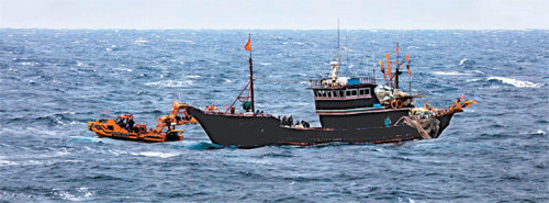 전남 목포해양경찰서 경비함이 15일 오전 전남 신안군 흑산면 가거도 서쪽에서 중국어선을 단속하고 있다. 중국어선은 조기 3.1t을 어획했지만 0.6t만 잡은 것처럼 조업일지를 허위로 기재했다. 목포해경 제공