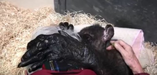 사진=유튜브 캡처