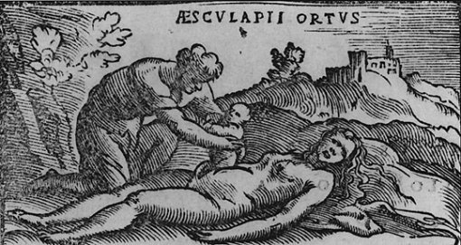 로마 신화에서 아폴로는 자신이 사랑하는 여인 코로니스가 바람이 났다는 까마귀의 거짓말에 속아 넘어갑니다. 대노한 아폴로는 
코로니스를 활로 쏘아 죽여 버리죠. 그리고 코로니스가 죽기 직전 배를 갈라 아들을 구합니다. 이 아들이 바로 ‘의학의 신’ 
아스클레피오스입니다. 사진은 이 장면을 묘사한 16세기 판화.