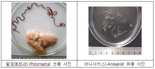 사진=식품의약품안전처 제공