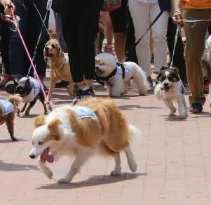 해당 사진은 기사와 관련 없음(동아일보DB)