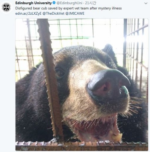 사진=에딘버러 대학교 소셜미디어