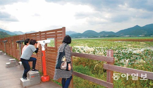 24일 오후 주남저수지 탐조대 앞에서 망원경으로 철새를 관찰하고 있는 관람객들. 이들은 “연꽃이 너무 많아 철새를 관찰하기 어렵다”고 말했다. 강정훈 기자 manman@donga.com