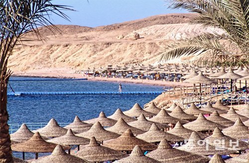 시나이반도(이집트) 남쪽의 홍해휴양지 샤름 엘 셰이크 해변. 샤름 엘 셰이크(이집트)에서 summer@donga.com