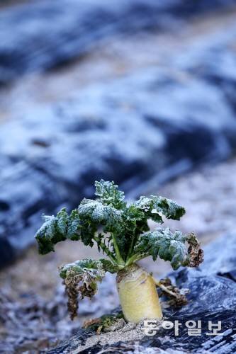 철원 -4.4℃·파주 -3.1℃·서울 2.7℃…올가을 들어 가장 추워…내일도?