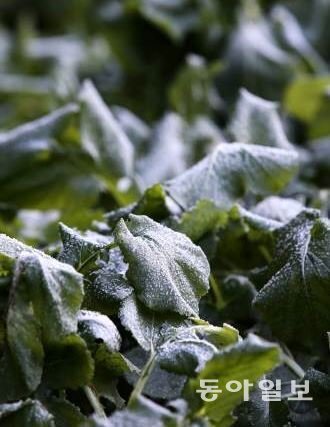 사진=기사와 직접 관계 없는 자료 사진/동아일보DB